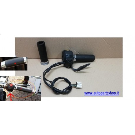 BEFEHL GAS-GRUPPE-ZEITRAFFER PIAGGIO BEVERLY CRUISER + GRIFFE