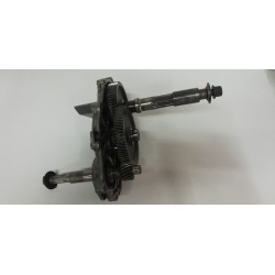 KIT INGRANAGGI TRASMISSIONE APRILIA SCARABEO 125 150 200 LEONARDO ROTAX