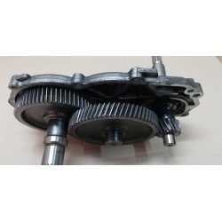 INGRANAGGI TRASMISSIONE RUOTA POSTERIORE APRILIA SCARABEO LEONARDO 125 150 200