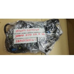 YAMAHA X-CITY 250 ie IMPIANTO ELETTRICO  (2006-2012) 5B2H259001-5