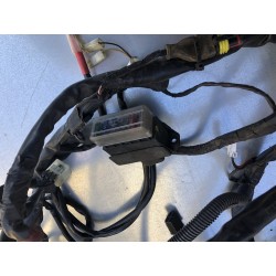 GRUPPO CAVI IMPIANTO ELETTRICO PIAGGIO BEVERLY 300 i.e. TOURER 2009-2011