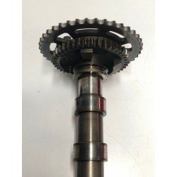 COPPIA ALBERI A CAMME BMW 1/3/5/X3 N47D20A -B-C- 2.0 DIESEL / MINI