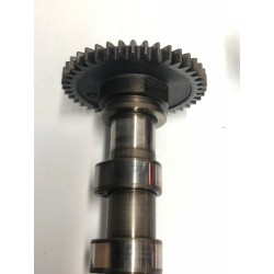 COPPIA ALBERI A CAMME BMW 1/3/5/X3 N47D20A -B-C- 2.0 DIESEL / MINI
