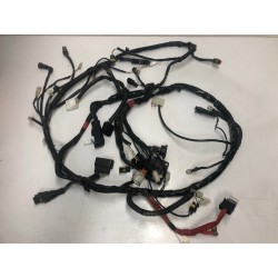 1D001553 CABLAGGIO IMPIANTO ELETTRICO PIAGGIO VESPA PRIMAVERA 50 4T-4V
