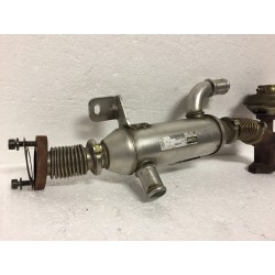 CITROEN PEUGEOT 2.0 HDI RHY RADIATORE GAS SCARICO EGR VALEO 9627242880  FIAT LANCIA