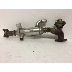 CITROEN PEUGEOT 2.0 HDI RHY RADIATORE GAS SCARICO EGR VALEO 9627242880  FIAT LANCIA