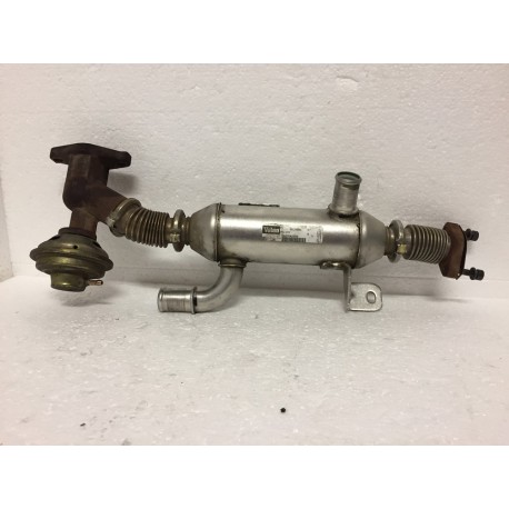 CITROEN PEUGEOT 2.0 HDI RHY RADIATORE GAS SCARICO EGR VALEO 9627242880  FIAT LANCIA